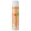 Orange Creamsicle Vegan Lip Balm | Organic, Ayurvedic Dosha Benefits | Eco-Friendly Biodegradable Tube