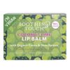 Coconut Lime Vegan Lip Balm | Organic, Ayurvedic, Eco-Friendly Biodegradable Tube | Moisturizing & Nourishing